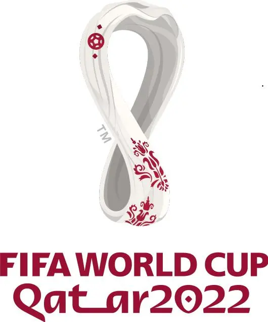 2022世界杯 喀麦隆VS巴西 海报