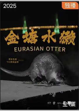 金塘水獭 海报
